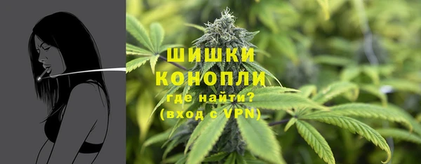 гидра Ладушкин