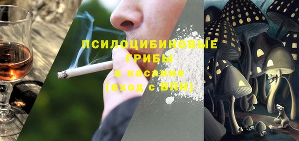 гидра Ладушкин