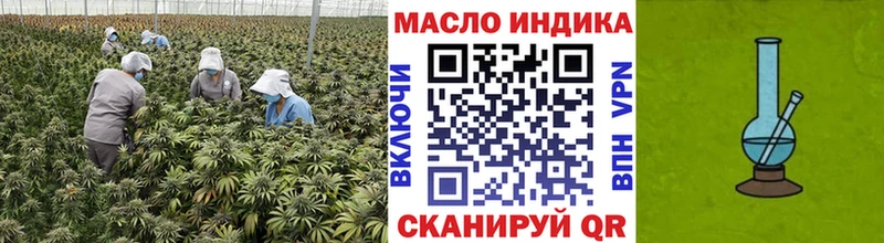 Купить закладки  Усолье-Сибирское  ТГК THC oil 