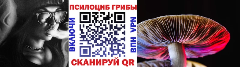 Купить закладки  Усолье-Сибирское  Галлюциногенные грибы мицелий 